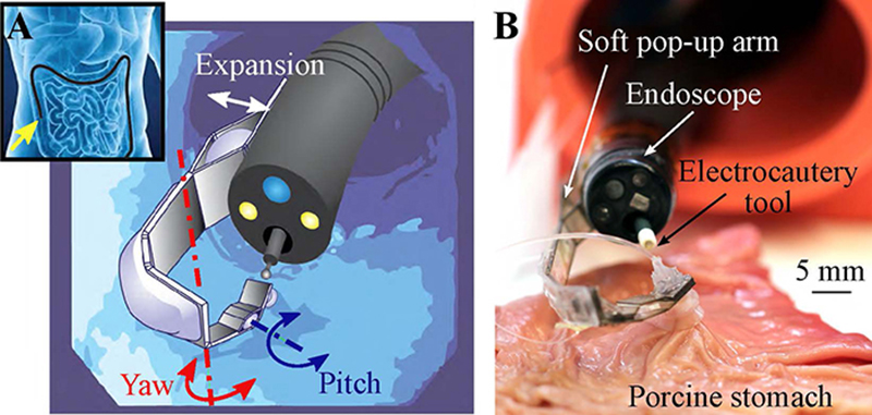 ربات جراح دانشگاه هاروارد- بازوی رباتیک انعطاف پذیر- robotic arm- endoscopy