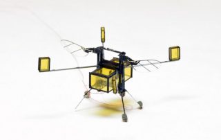 ربات دوزیست دانشگاه هاروارد- زنبور رباتیک- ربات حشره ای- RoboBee – SEAS –